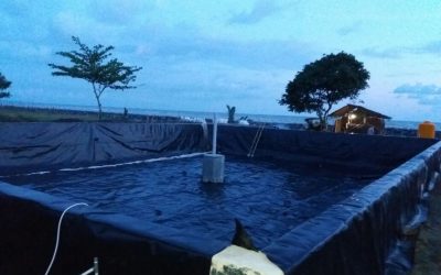 Tambak Udang Gorontalo