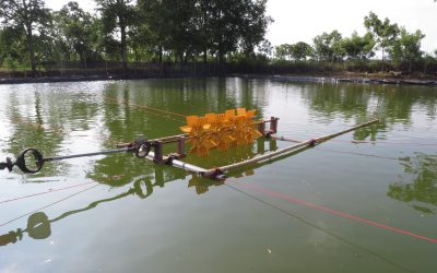 Tambak Udang Rejoso Pasuruan