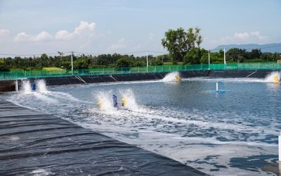 Mengenal 3 Tipe Geomembrane