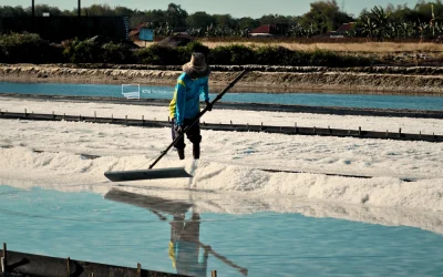 Bukan Sekadar Kedap Air: Peran Stabilitas Dimensi Geomembrane untuk Tambak Garam di Pamekasan