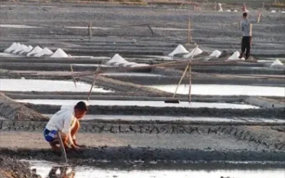 Cara Membuat Garam Laut Alami Memanfaatkan Kondisi Alam