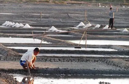 Pembuatan Garam Laut Alami Bergantung Pada Kondisi Alam Pembuatan Garam Laut Alami Bergantung Pada Kondisi Alam