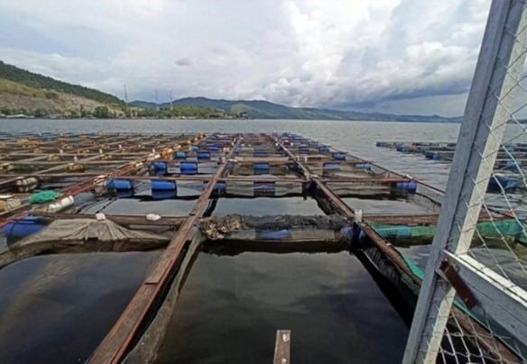 Tambak