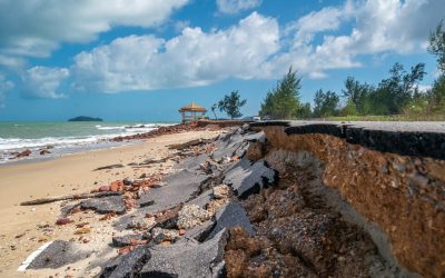 Mengungkap Peran Vital Geotextile dalam Reklamasi Pantai