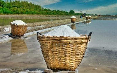 Apa Manfaat Geomembrane untuk Tambak Garam, Berikut Daftarnya